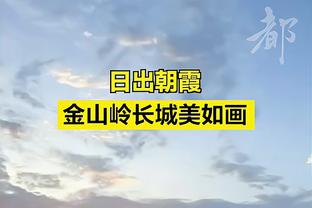 詹姆斯、浓眉、里夫斯三人合计41投30中 其他湖人球员42中9